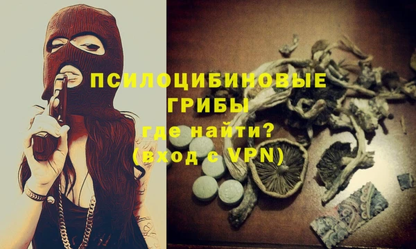 spice Аркадак