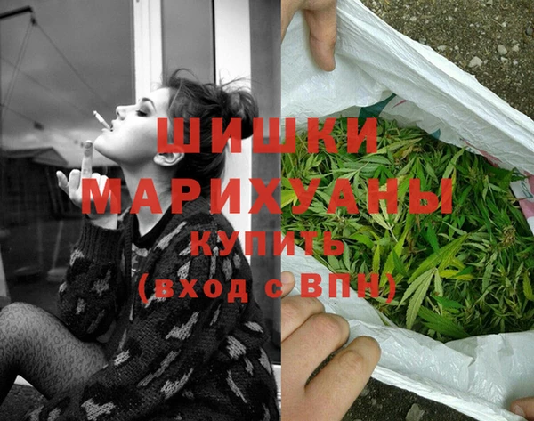 spice Аркадак