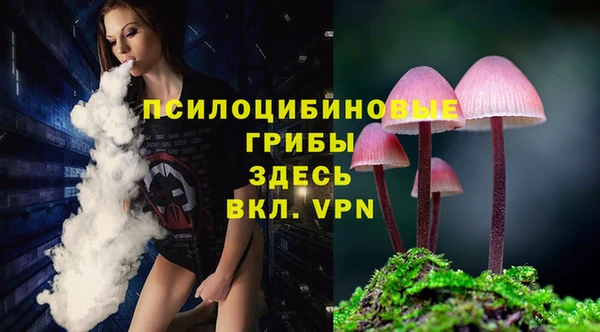 spice Аркадак