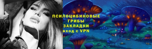 spice Аркадак