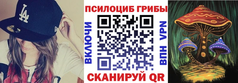 Псилоцибиновые грибы Magic Shrooms  Бокситогорск 